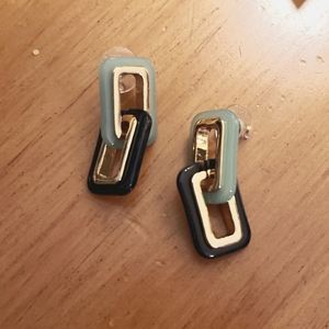 Ann Taylor fashion earrings